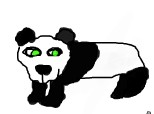 urs panda