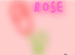 rose