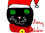 Cat For Christmas