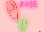 rose