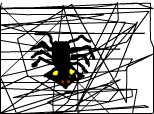 spider