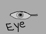 EYe