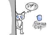 curiosity cat