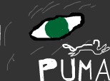 puma