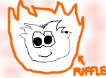 the puffle