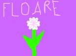 floare