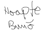 noapte buna