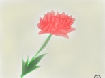 trandafirul dragostei:X:X