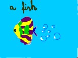 a fish