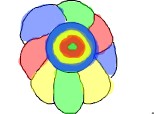 flower multi colors