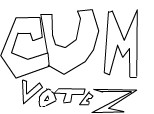 CUM VOTEZ?