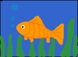 gold fish