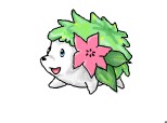 Pokemon-Shaymin