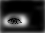 eye