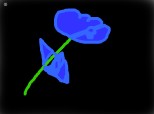 O floare albastra
