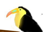 tucan