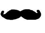 le moustache