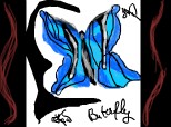 butterfly